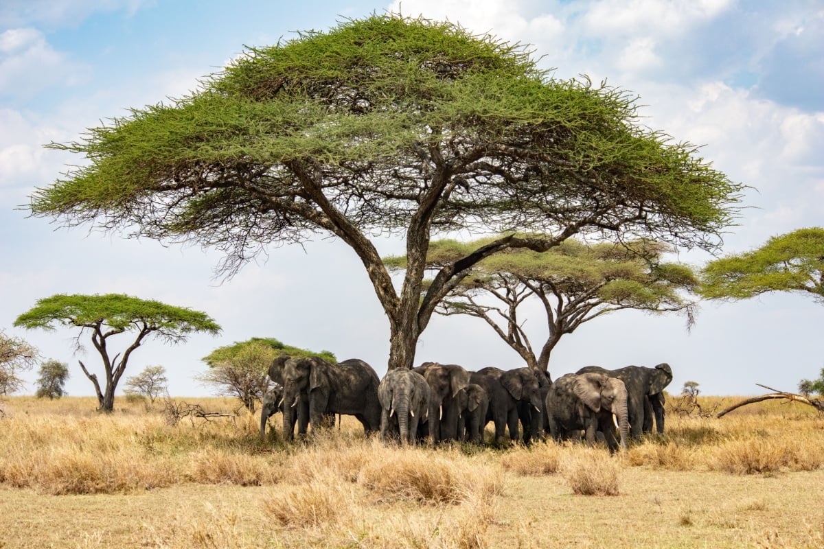 travelportjpg-028.jpg
